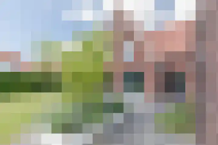Kleine Vuurvlinder 45 Mierlo thumbnail 22