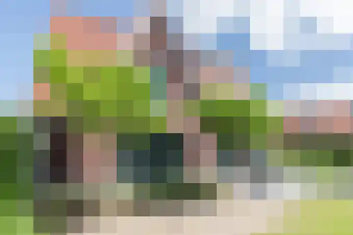 Kleine Vuurvlinder 45 Mierlo thumbnail 23