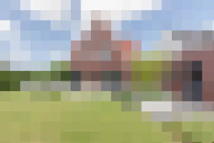 Kleine Vuurvlinder 45 Mierlo thumbnail 24