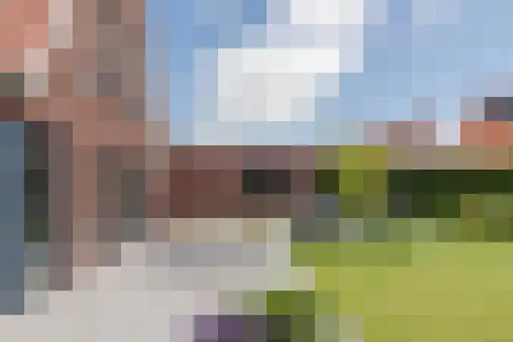 Kleine Vuurvlinder 45 Mierlo thumbnail 26