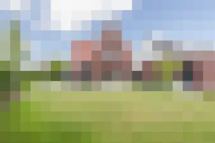 Kleine Vuurvlinder 45 Mierlo thumbnail 27