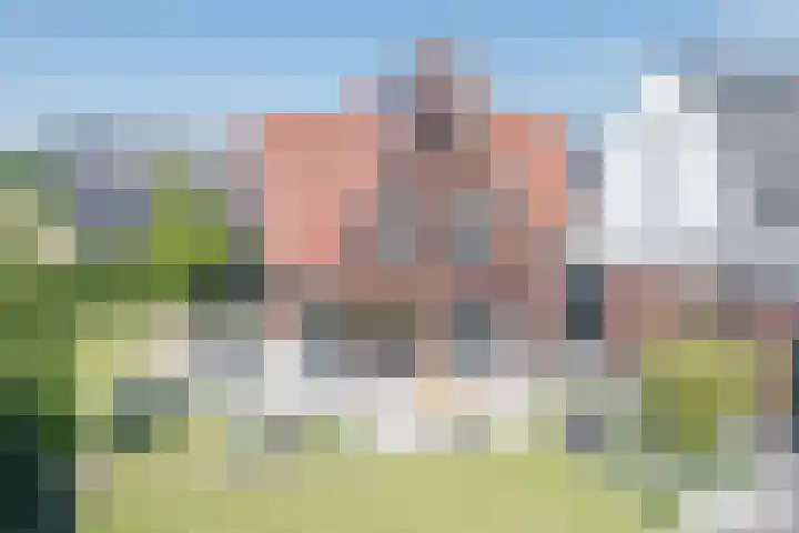 Kleine Vuurvlinder 45 Mierlo thumbnail 29