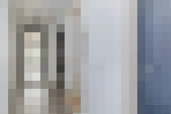 Kleine Vuurvlinder 45 Mierlo foto 3