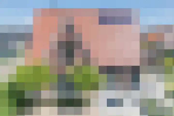 Kleine Vuurvlinder 45 Mierlo thumbnail 30