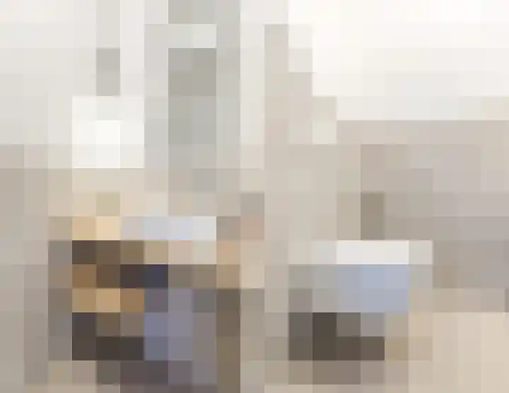 Kleine Vuurvlinder 45 Mierlo thumbnail 31
