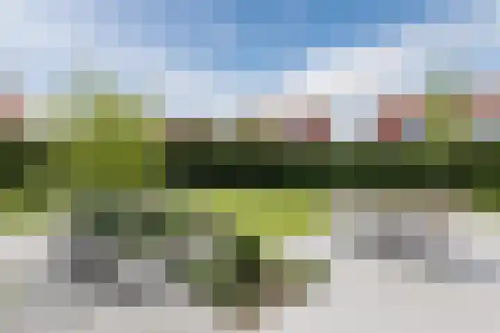 Kleine Vuurvlinder 45 Mierlo thumbnail 35