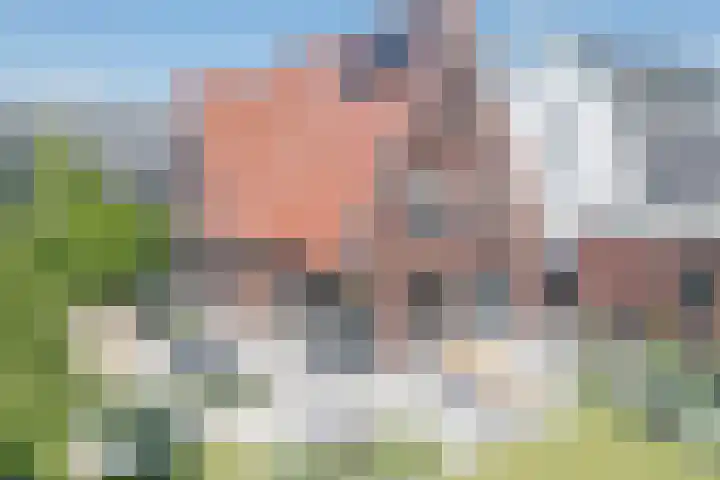 Kleine Vuurvlinder 45 Mierlo thumbnail 36