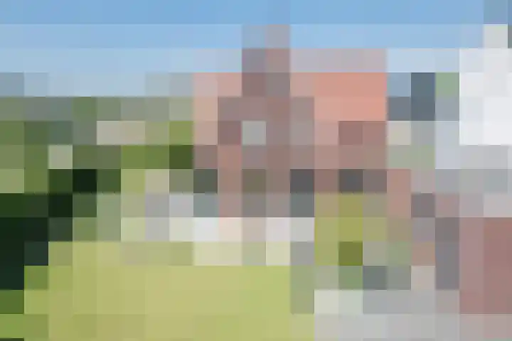 Kleine Vuurvlinder 45 Mierlo thumbnail 37