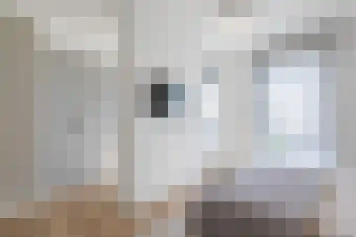 Kleine Vuurvlinder 45 Mierlo thumbnail 45