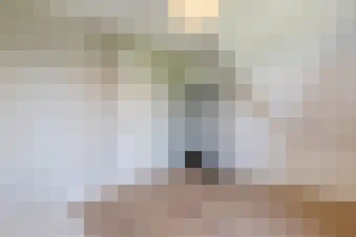 Kleine Vuurvlinder 45 Mierlo thumbnail 47