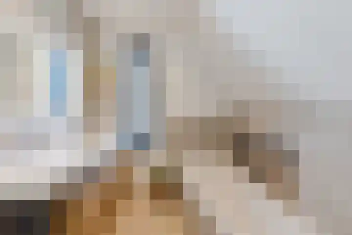 Kleine Vuurvlinder 45 Mierlo thumbnail 50