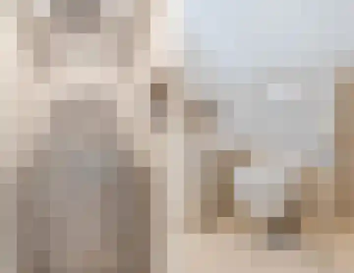 Kleine Vuurvlinder 45 Mierlo thumbnail 54