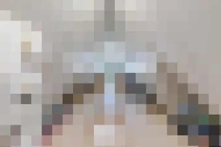 Kleine Vuurvlinder 45 Mierlo thumbnail 55