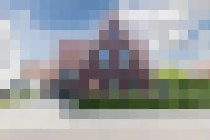 Kleine Vuurvlinder 45 Mierlo thumbnail 57