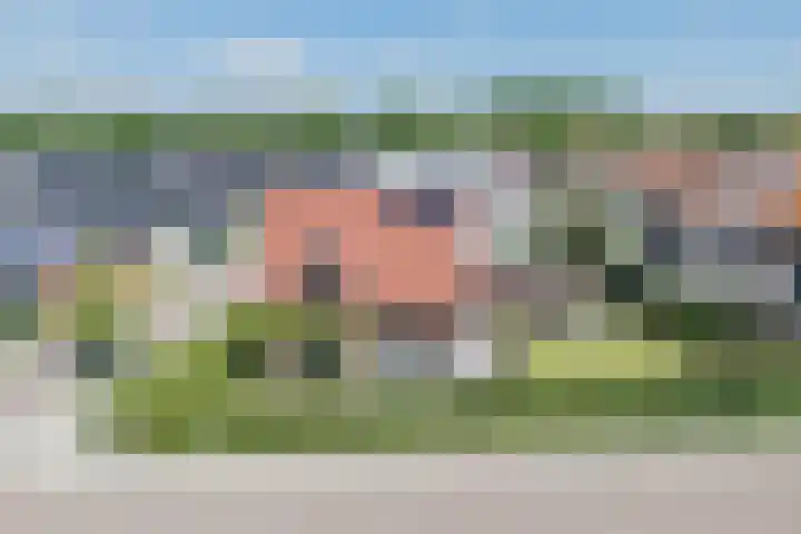 Kleine Vuurvlinder 45 Mierlo thumbnail 58