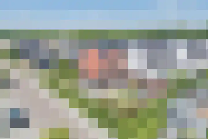 Kleine Vuurvlinder 45 Mierlo thumbnail 59