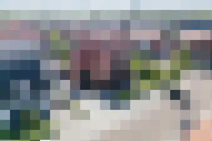 Kleine Vuurvlinder 45 Mierlo thumbnail 60