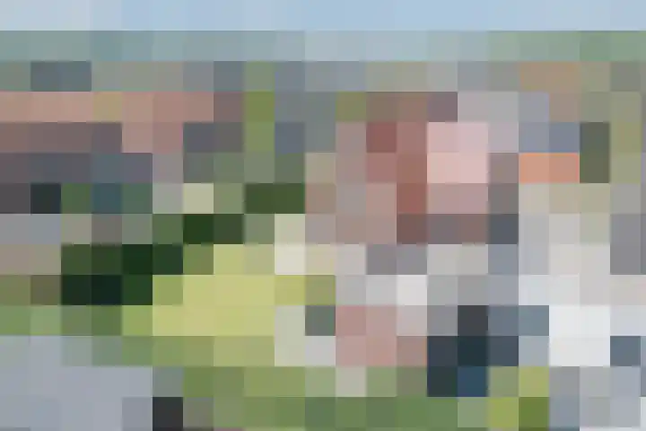 Kleine Vuurvlinder 45 Mierlo thumbnail 61