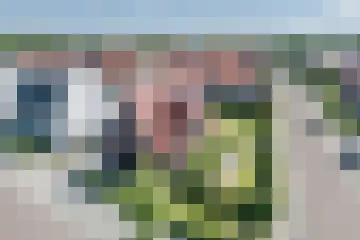 Kleine Vuurvlinder 45 Mierlo thumbnail 62