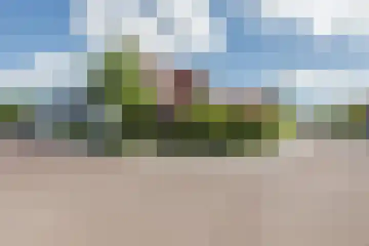 Kleine Vuurvlinder 45 Mierlo thumbnail 64
