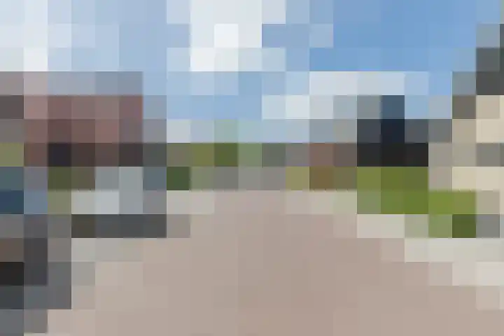 Kleine Vuurvlinder 45 Mierlo thumbnail 66