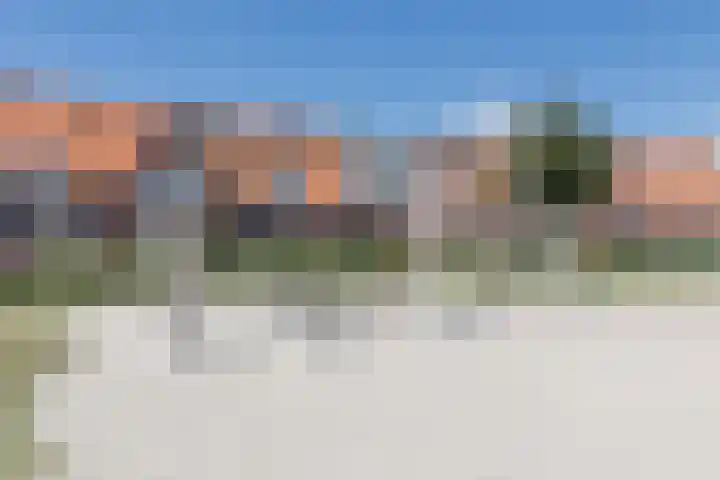 Kleine Vuurvlinder 45 Mierlo thumbnail 67