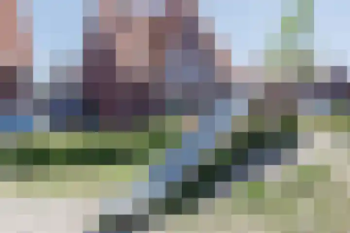 Kleine Vuurvlinder 45 Mierlo thumbnail 68