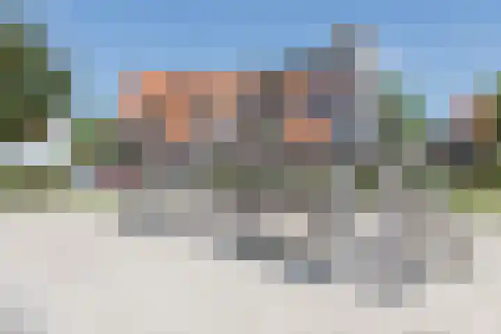 Kleine Vuurvlinder 45 Mierlo thumbnail 69