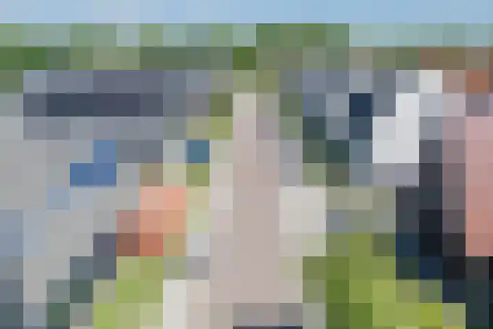 Kleine Vuurvlinder 45 Mierlo thumbnail 70