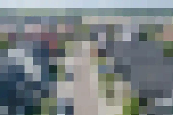 Kleine Vuurvlinder 45 Mierlo thumbnail 71