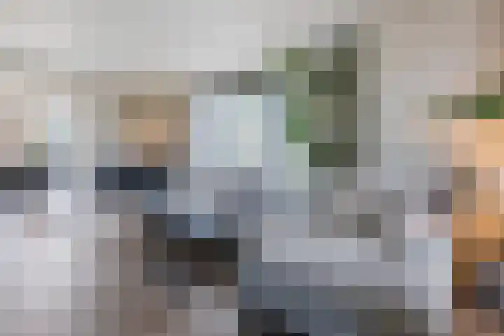 Kleine Vuurvlinder 45 Mierlo thumbnail 9