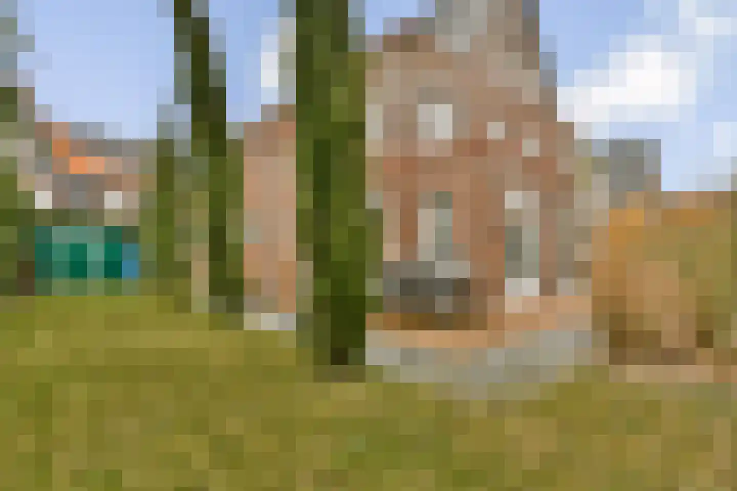 Kleine Vuurvlinderstraat 5 Aalsmeer thumbnail 15