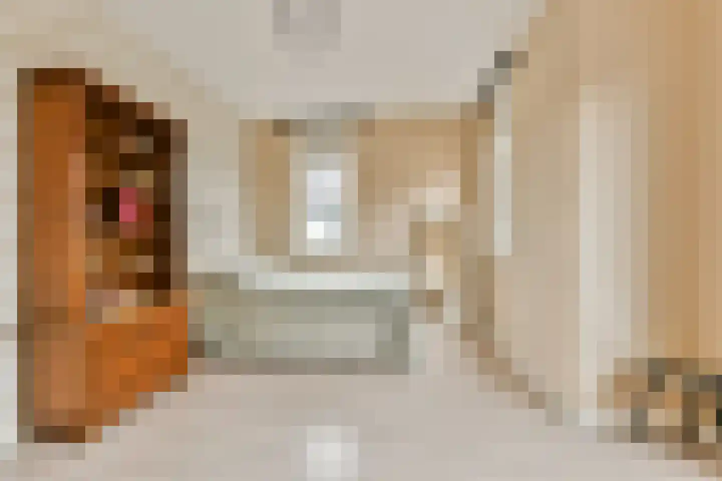 Kleine Vuurvlinderstraat 5 Aalsmeer thumbnail 17