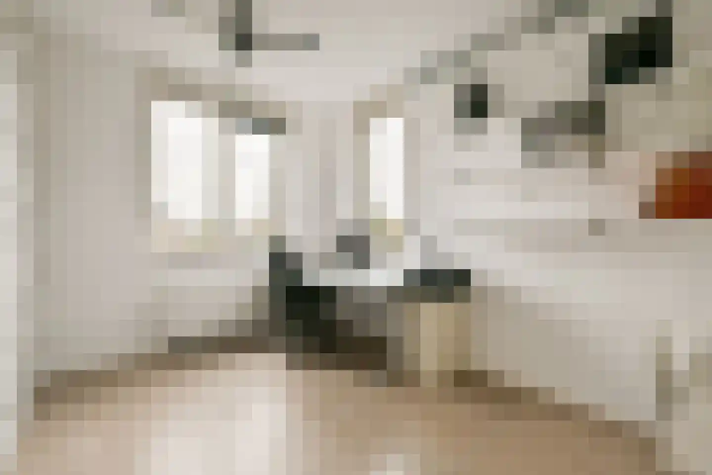 Kleine Vuurvlinderstraat 5 Aalsmeer thumbnail 19