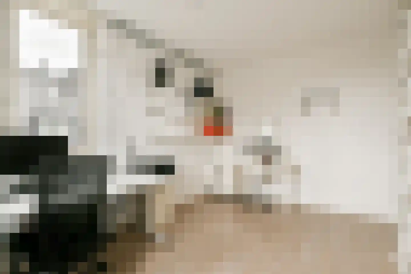 Kleine Vuurvlinderstraat 5 Aalsmeer thumbnail 20