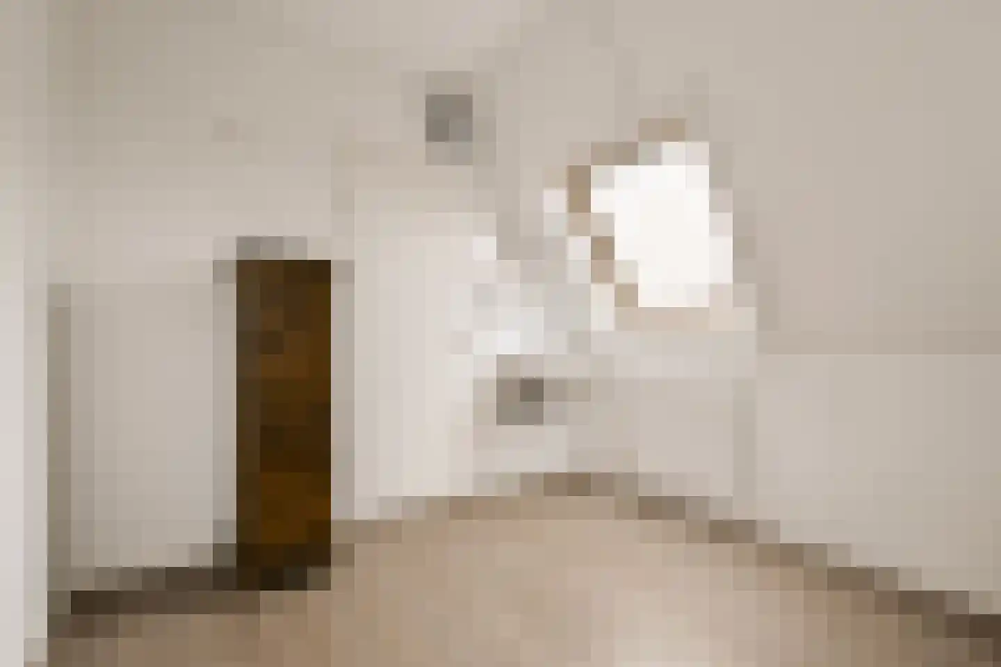 Kleine Vuurvlinderstraat 5 Aalsmeer thumbnail 29