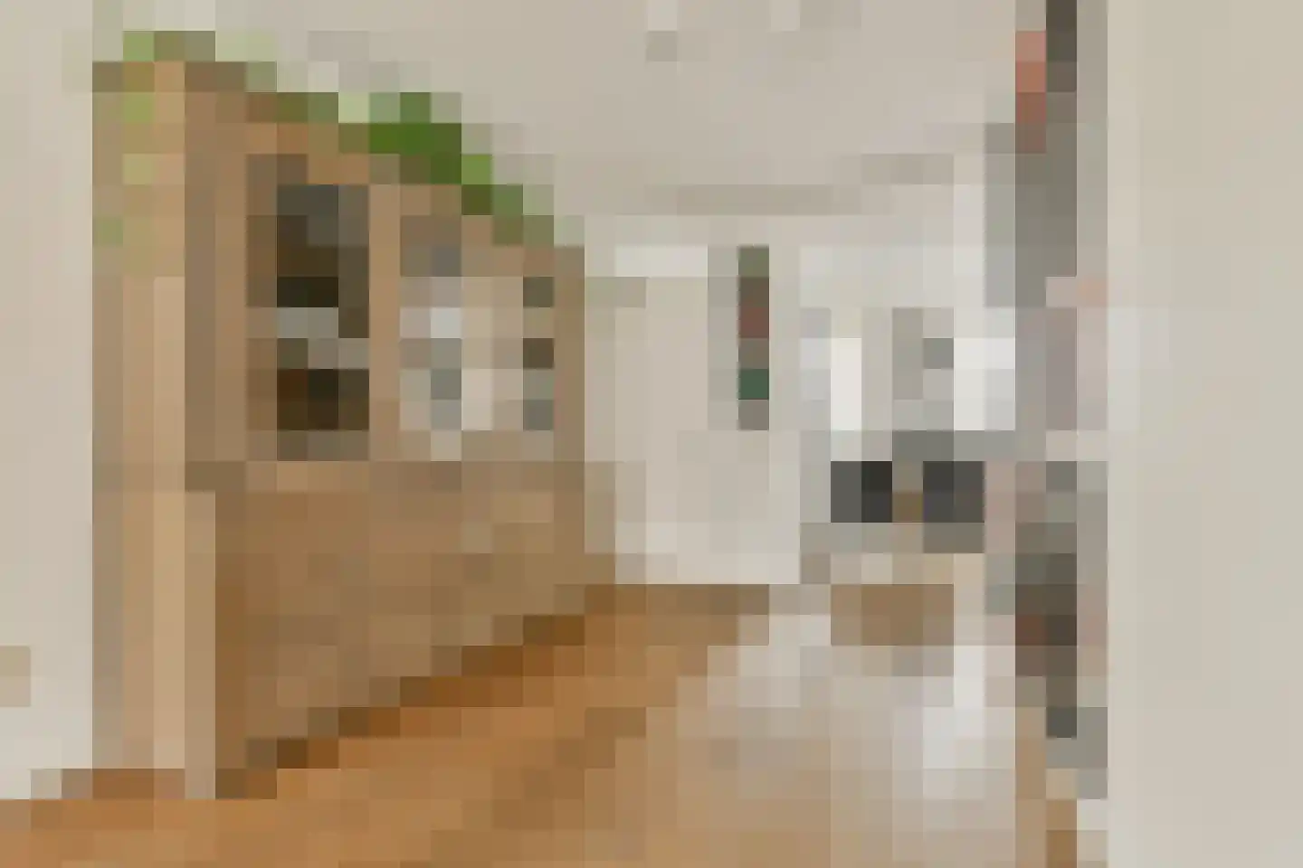 Kleine Vuurvlinderstraat 5 Aalsmeer thumbnail 6