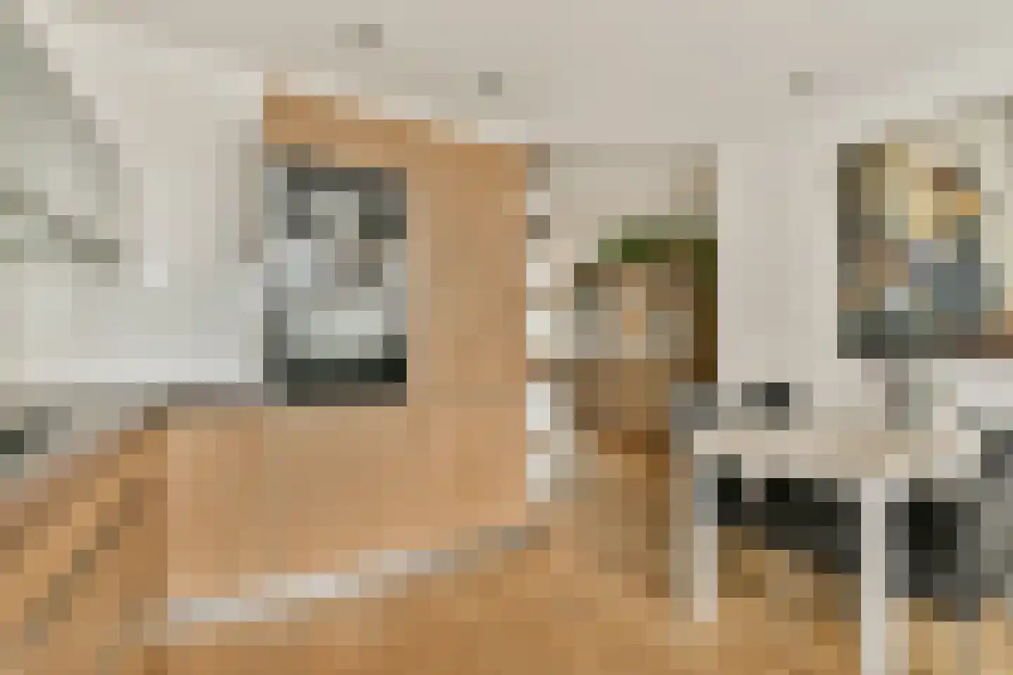 Kleine Vuurvlinderstraat 5 Aalsmeer thumbnail 9