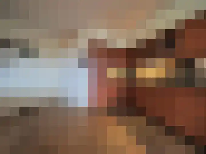 Kleine Waal 34 Papendrecht thumbnail 13