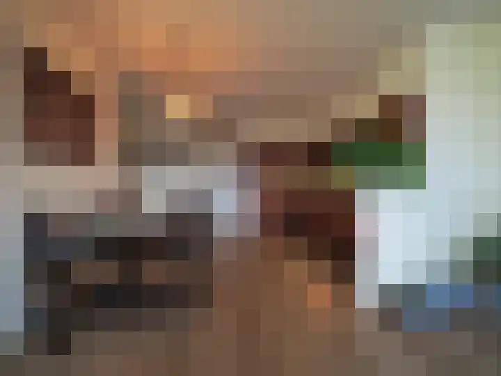 Kleine Waal 34 Papendrecht thumbnail 17