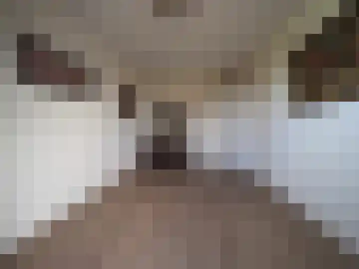 Kleine Waal 34 Papendrecht thumbnail 31