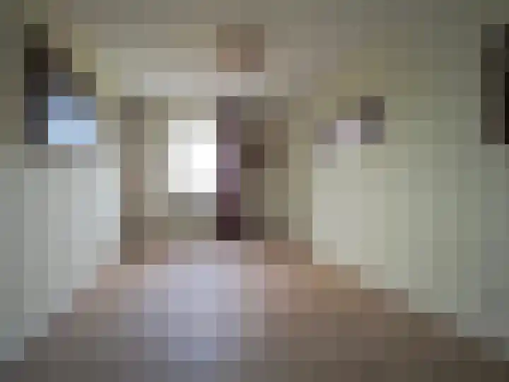 Kleine Waal 34 Papendrecht thumbnail 32