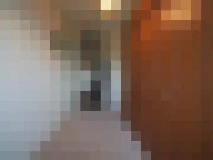 Kleine Waal 34 Papendrecht thumbnail 33