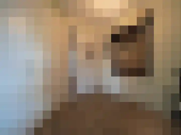 Kleine Waal 34 Papendrecht thumbnail 37