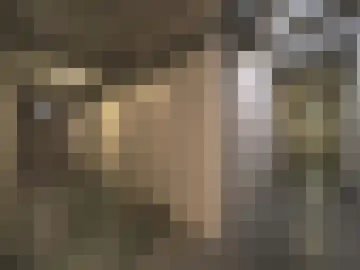 Kleine Waal 34 Papendrecht thumbnail 39