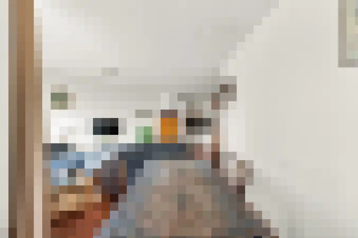 Kleine Waal 52 Papendrecht thumbnail 18