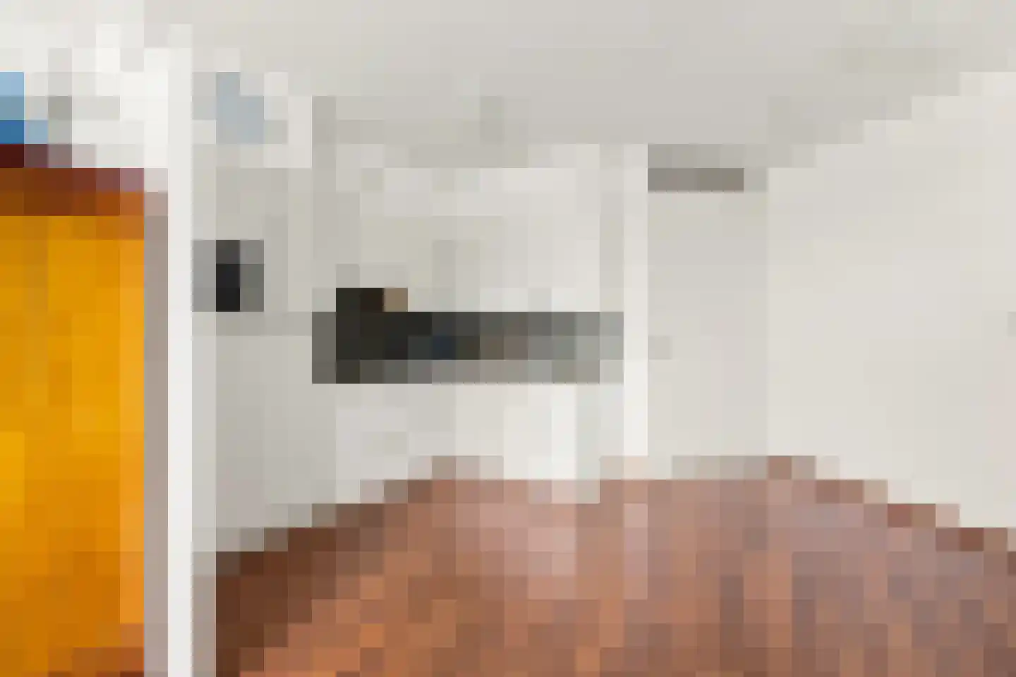 Kleine Waal 52 Papendrecht thumbnail 19