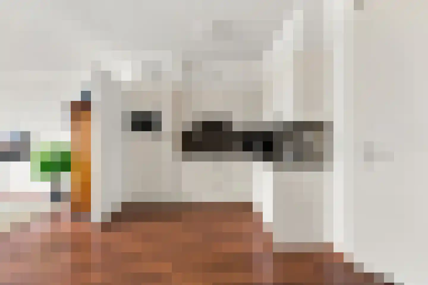 Kleine Waal 52 Papendrecht thumbnail 21
