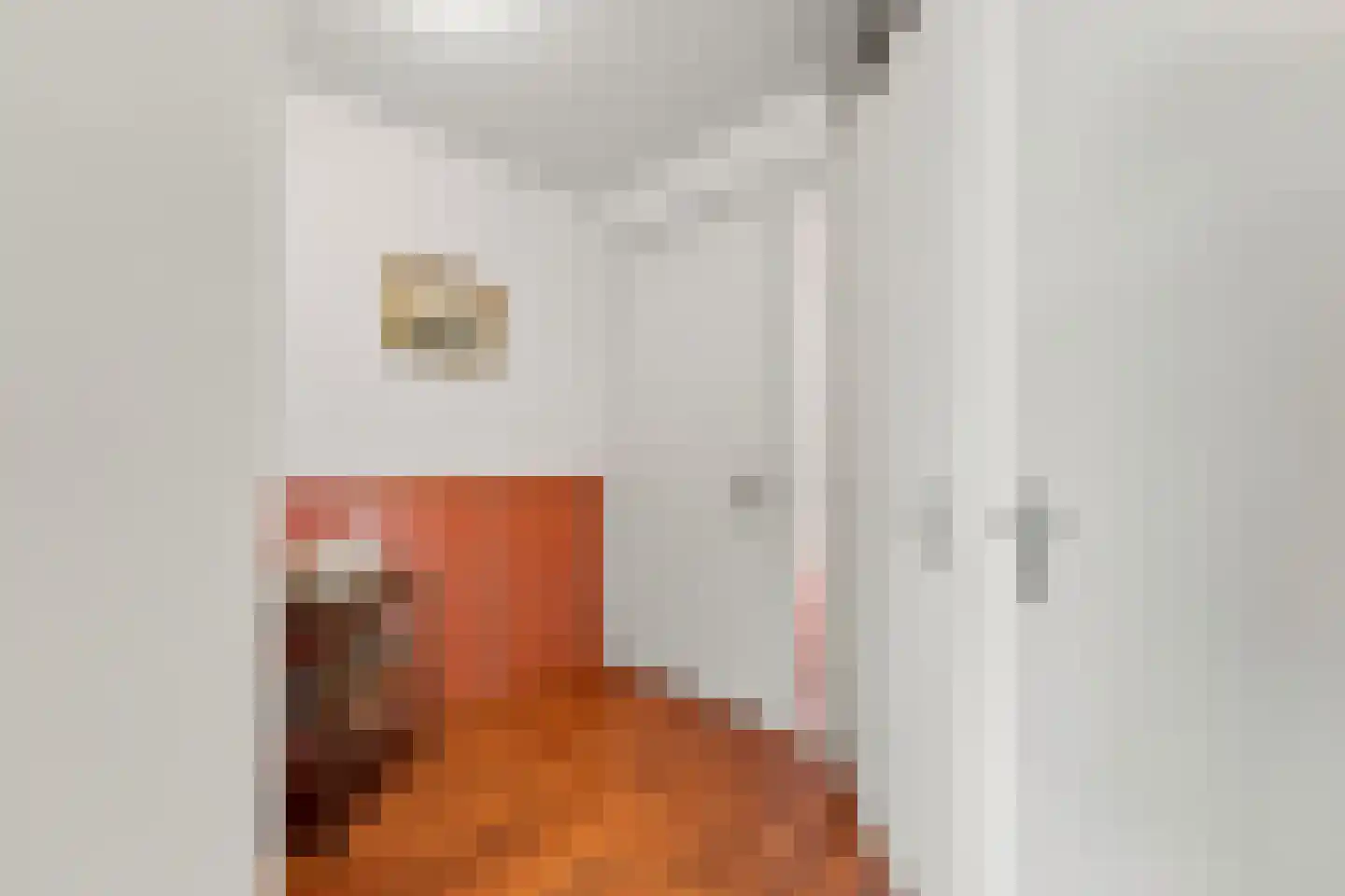 Kleine Waal 52 Papendrecht thumbnail 33