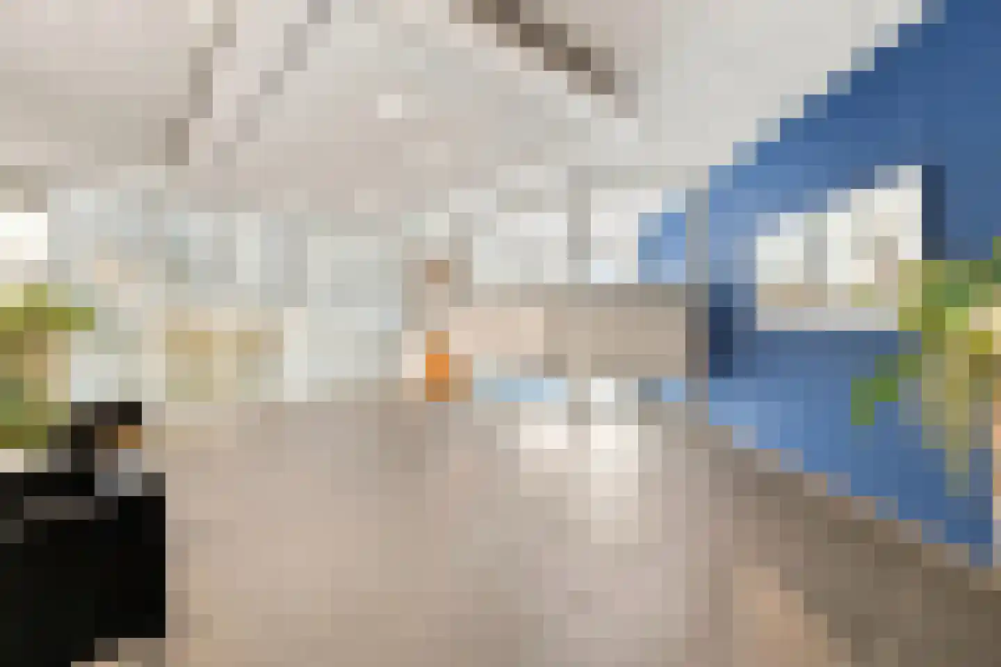Kleine Waal 52 Papendrecht thumbnail 40